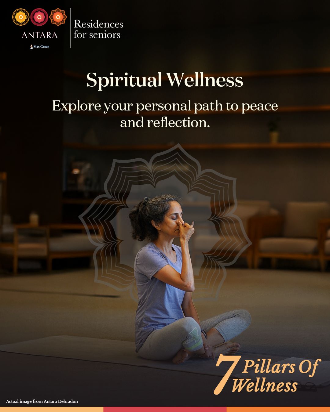 Max upcoming launch of Estate 361